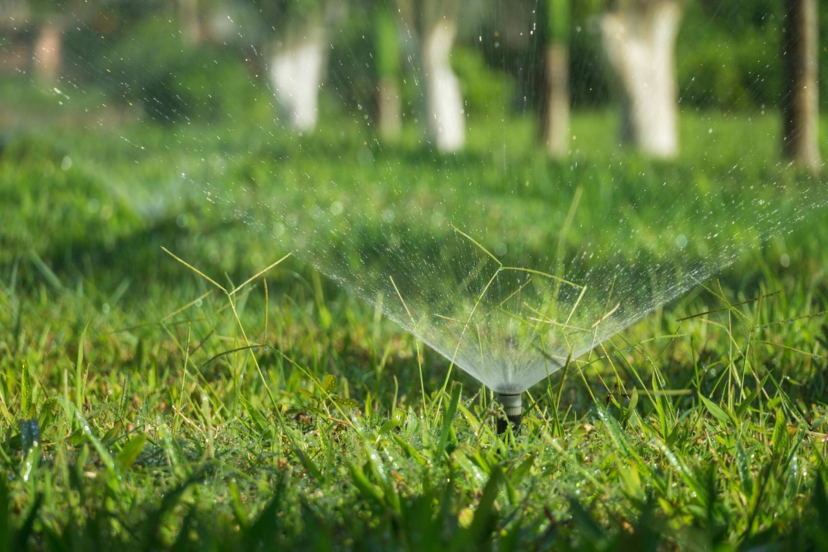 Barley field under sprinkler irrigation during Rabi season